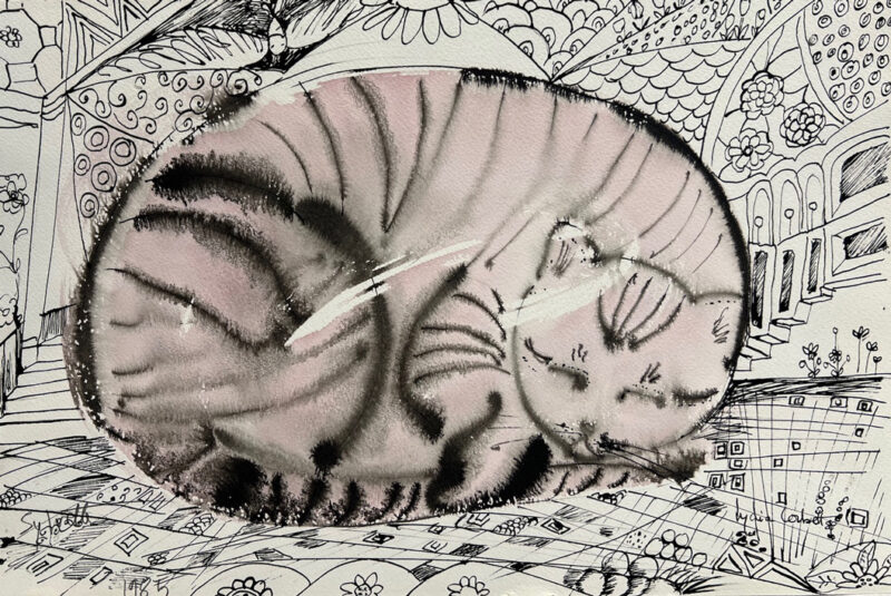 Sleepy Cat